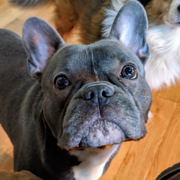 Meet your Posher, Chris - Picture 1 of 1